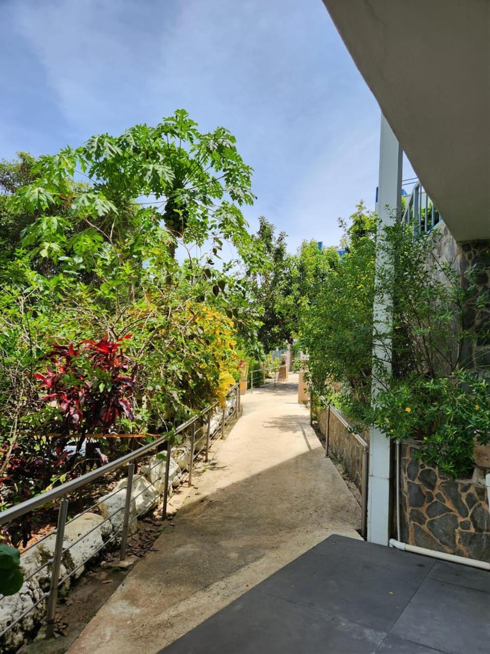 Hotel Ticozuma Montezuma Exteriér fotografie